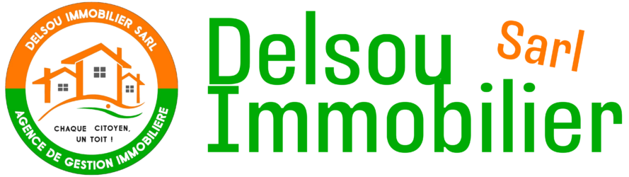 Delsou Immobilier